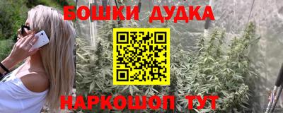 apvp Ставрополь