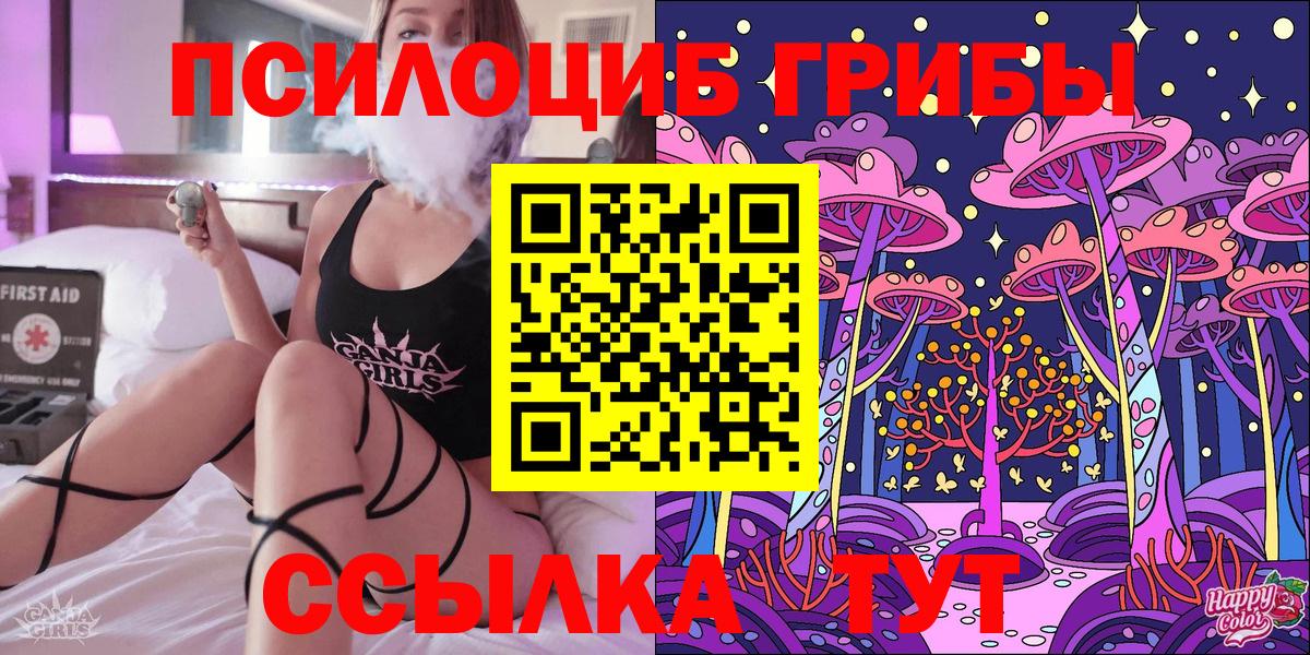 Псилоцибиновые грибы MAGIC MUSHROOMS Осинники